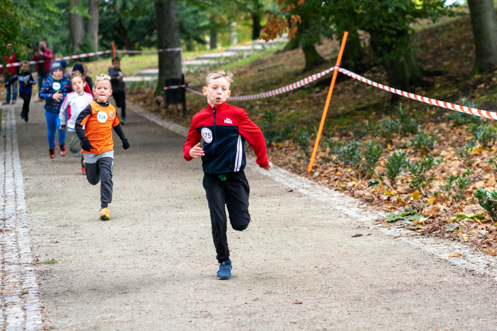 Charytatywny bieg dla Mikołaja na piątkę. Około 150. młodych sportowców na starcie!