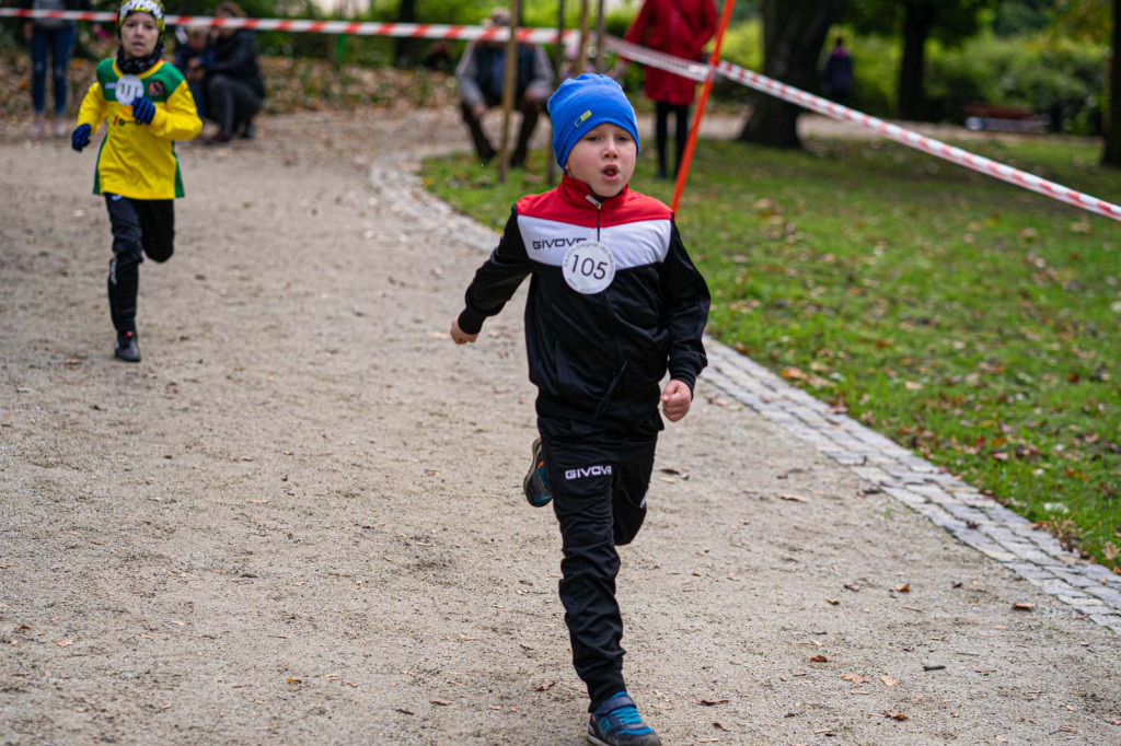 Charytatywny bieg dla Mikołaja na piątkę. Około 150. młodych sportowców na starcie!