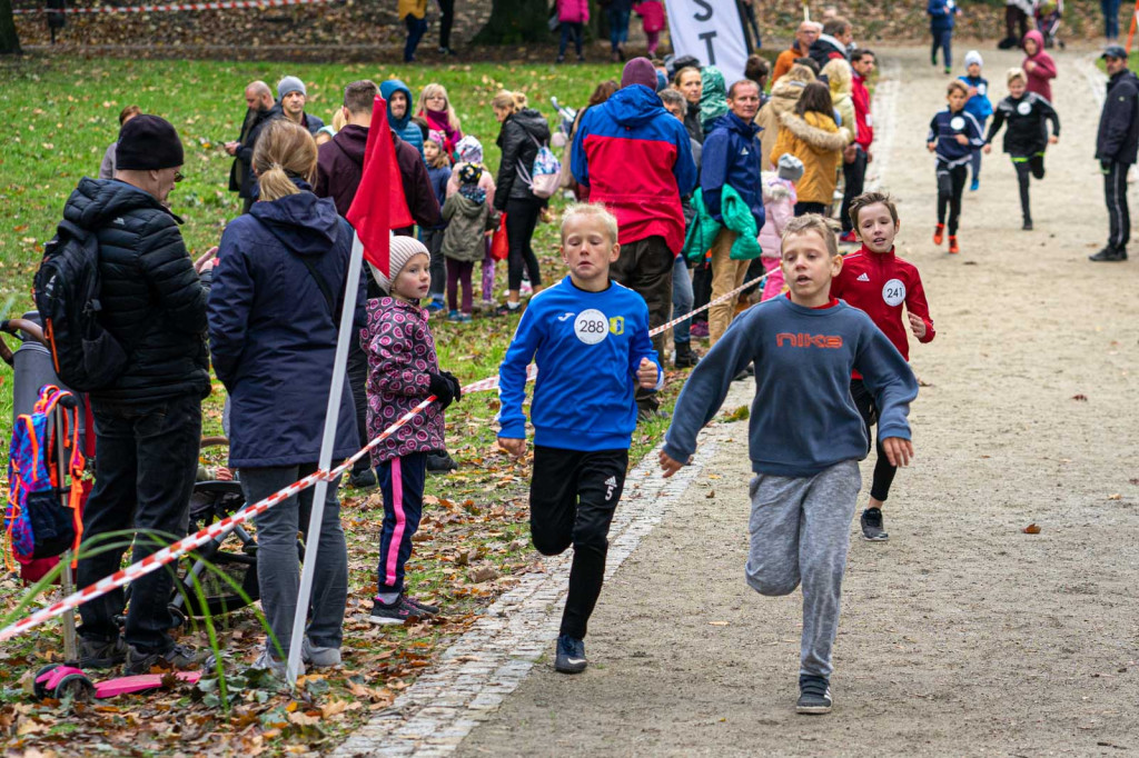 Charytatywny bieg dla Mikołaja na piątkę. Około 150. młodych sportowców na starcie!