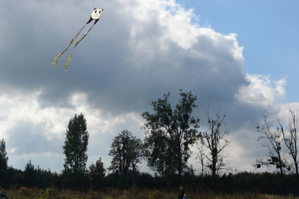 Święto Latawca w Małujowicach [fotorelacja]