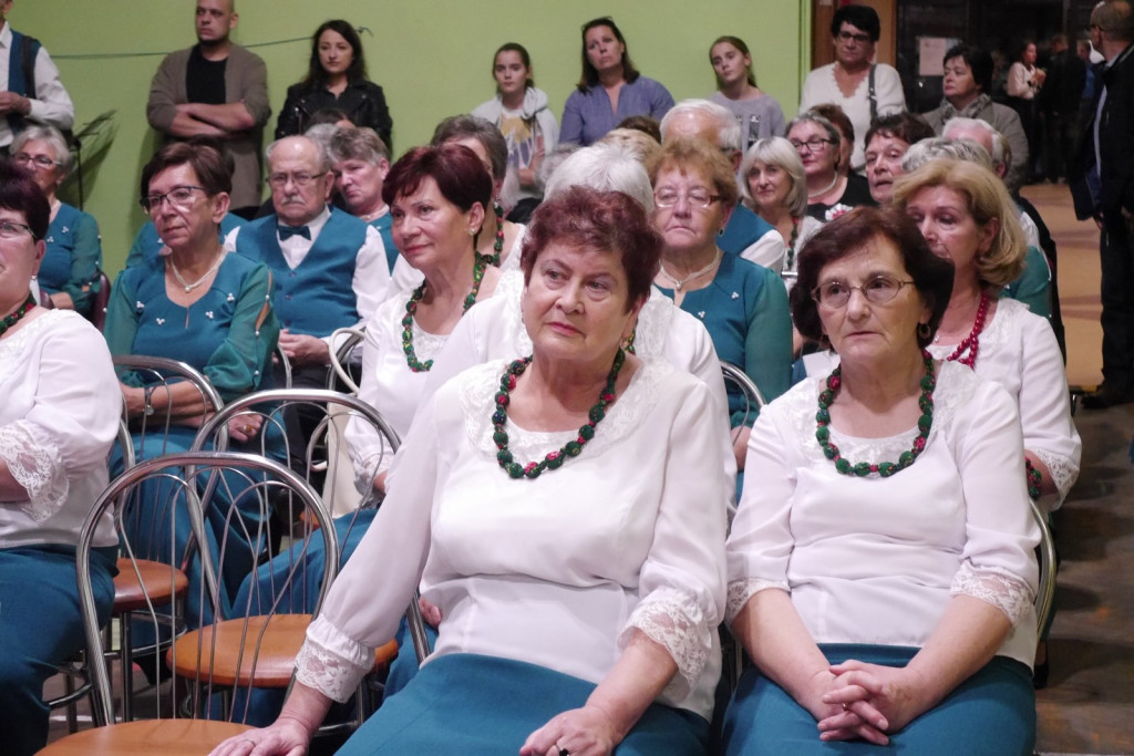 Eliminacje Festiwalu 
