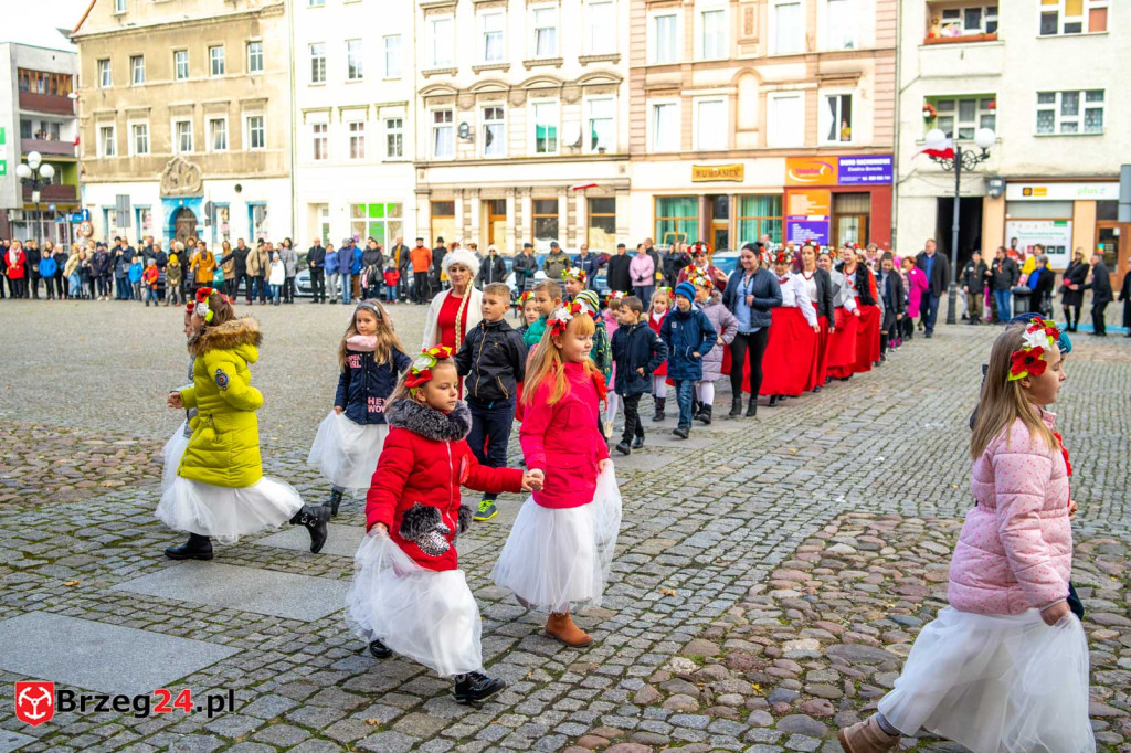 101. rocznica obchodów Dnia Niepodległości w Grodkowie [fotorelacja]