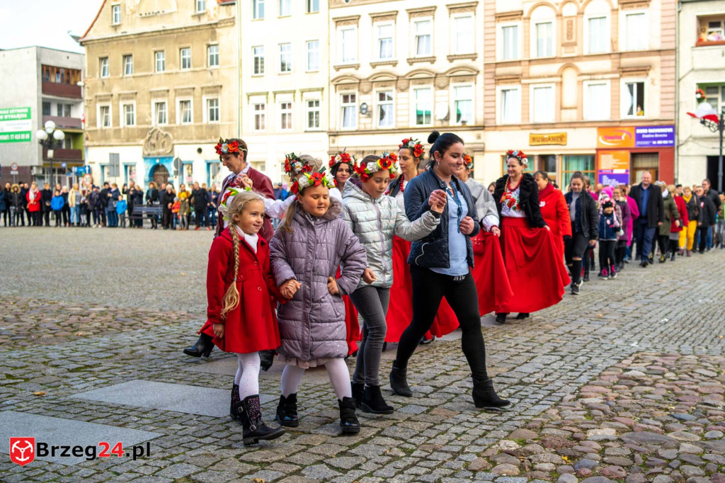 101. rocznica obchodów Dnia Niepodległości w Grodkowie [fotorelacja]