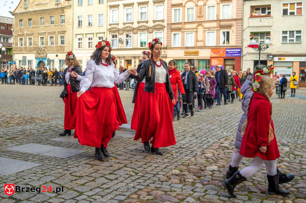 101. rocznica obchodów Dnia Niepodległości w Grodkowie [fotorelacja]