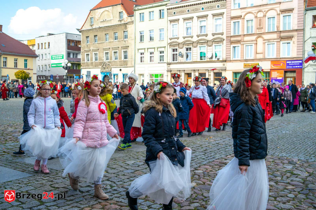 101. rocznica obchodów Dnia Niepodległości w Grodkowie [fotorelacja]