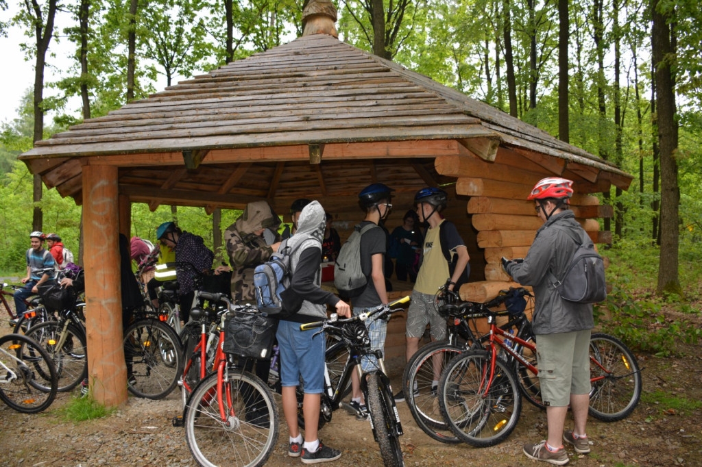 Wolontariat w Jedyce