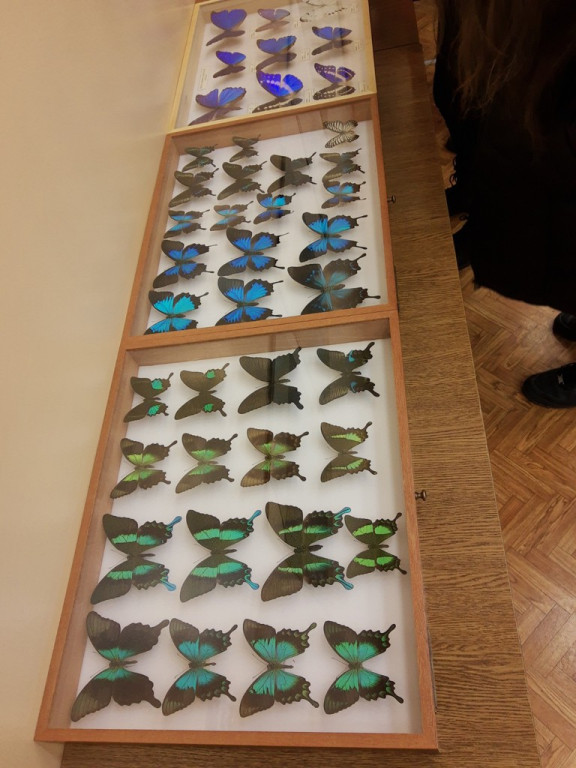 Udział uczniów PSP w Łosiowie w akcji ,,Noc Biologów``.