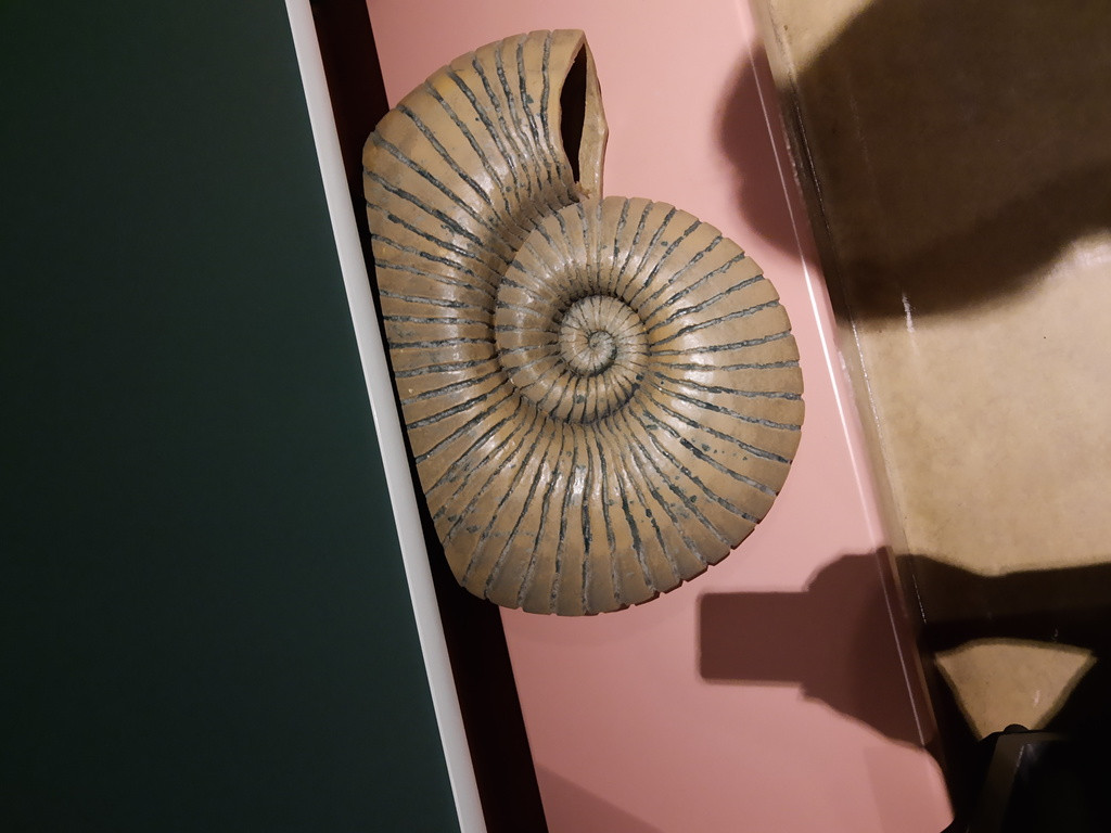 Udział uczniów PSP w Łosiowie w akcji ,,Noc Biologów``.