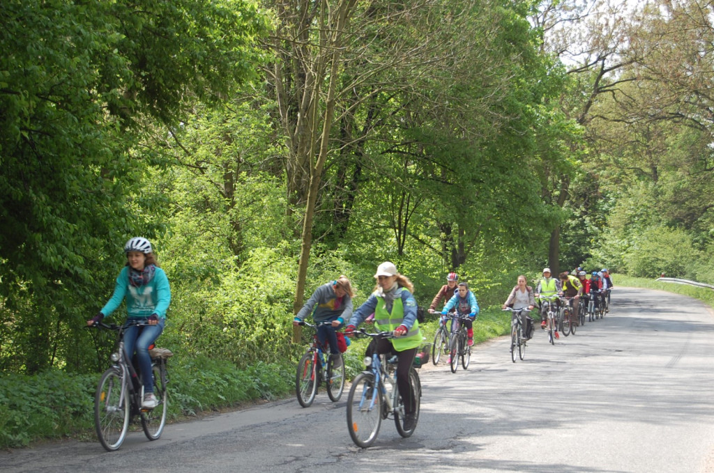 Wolontariat w Jedyce