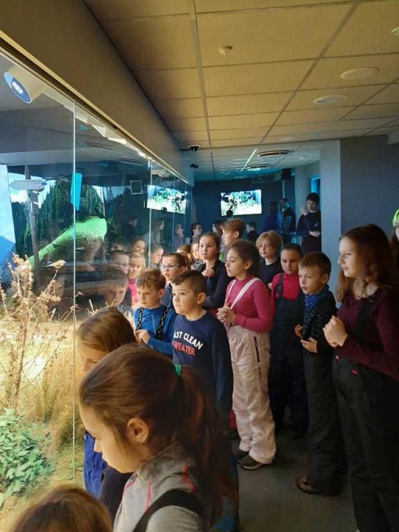 Śniegowe ferie w Murzasichle