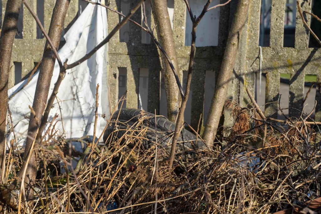 Działkowicze od kilku lat proszą o wywiezienie śmieci