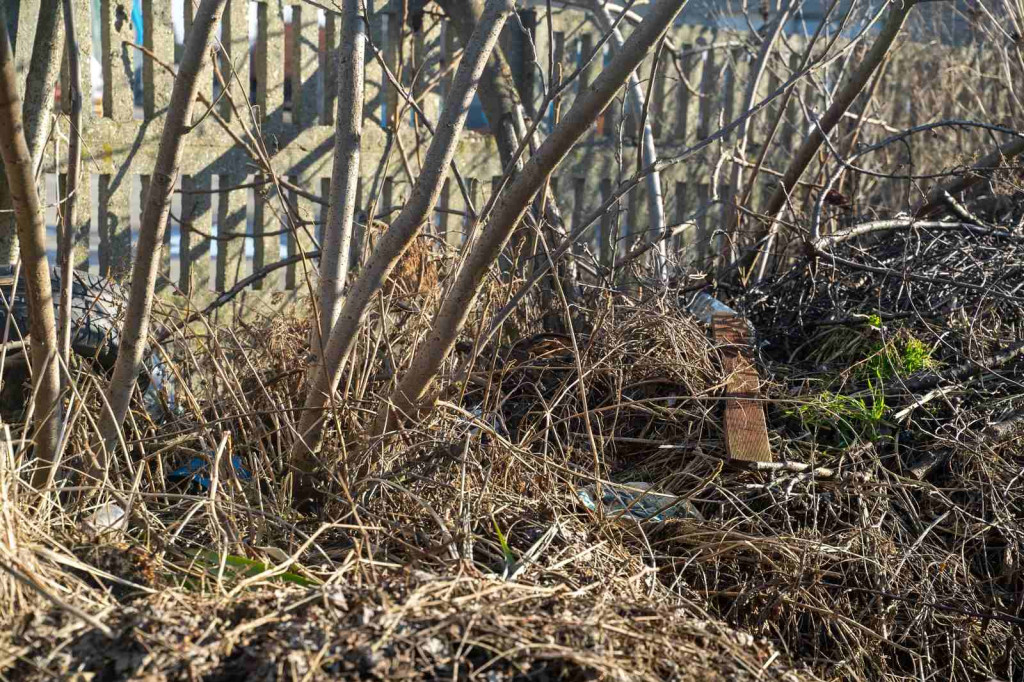 Działkowicze od kilku lat proszą o wywiezienie śmieci