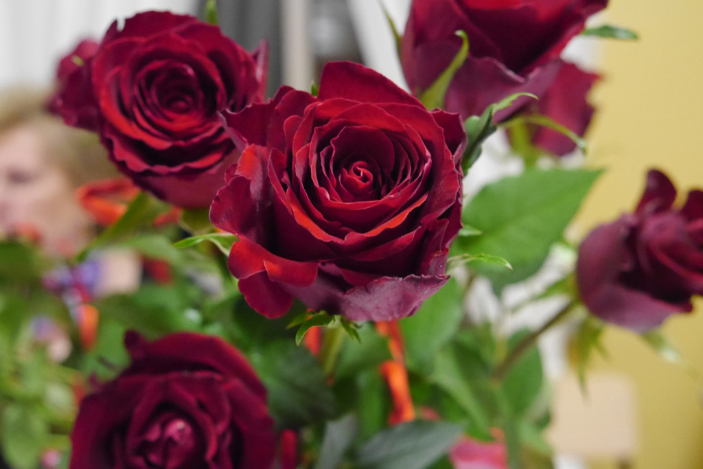 Wyjątkowy Dzień Kobiet w Dobrzyniu [zdjęcia]