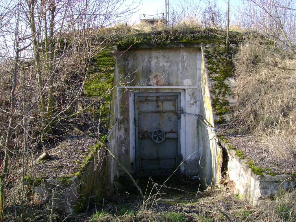 Przedświąteczne jaja... na Zielonce  - felieton Marka Popowskiego