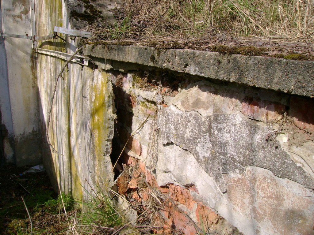 Przedświąteczne jaja... na Zielonce  - felieton Marka Popowskiego