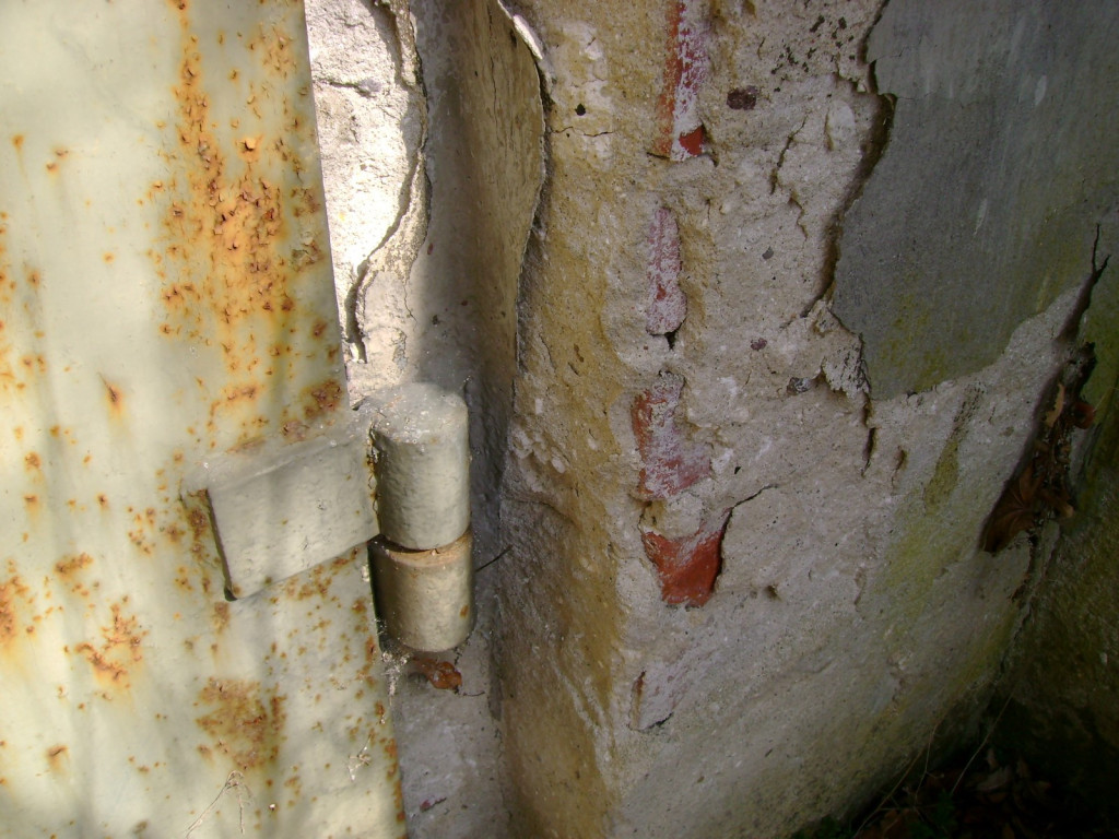 Przedświąteczne jaja... na Zielonce  - felieton Marka Popowskiego