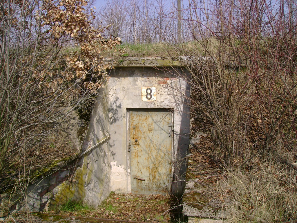 Przedświąteczne jaja... na Zielonce  - felieton Marka Popowskiego