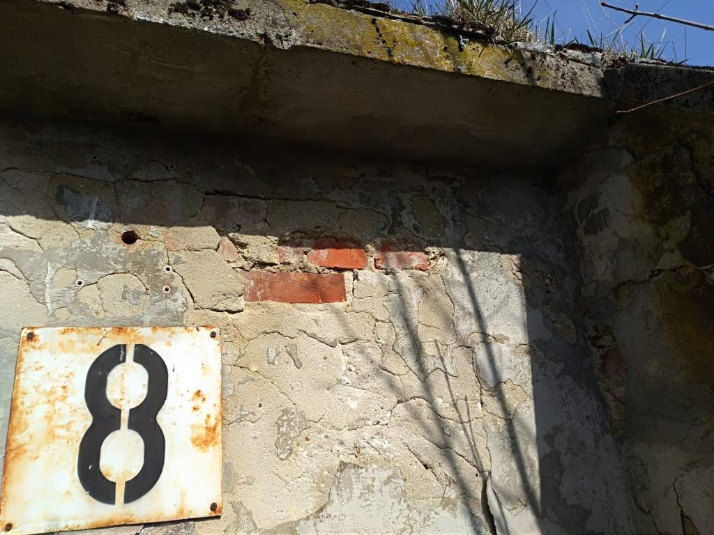 Przedświąteczne jaja... na Zielonce  - felieton Marka Popowskiego