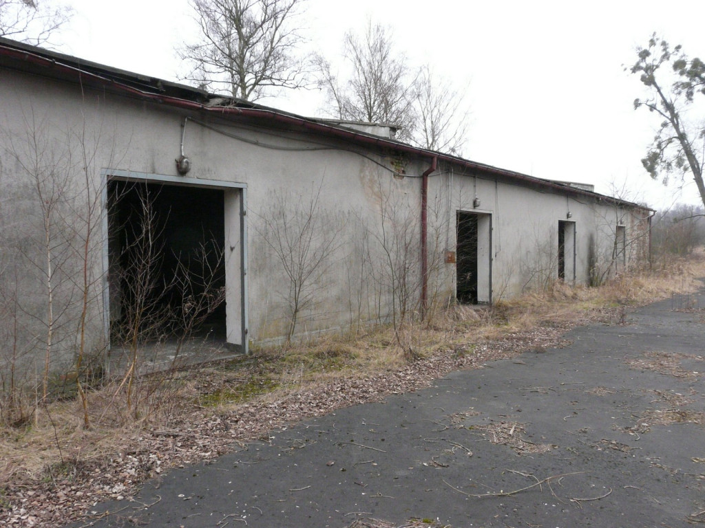 Przedświąteczne jaja... na Zielonce  - felieton Marka Popowskiego