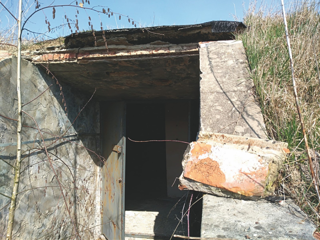 Przedświąteczne jaja... na Zielonce  - felieton Marka Popowskiego