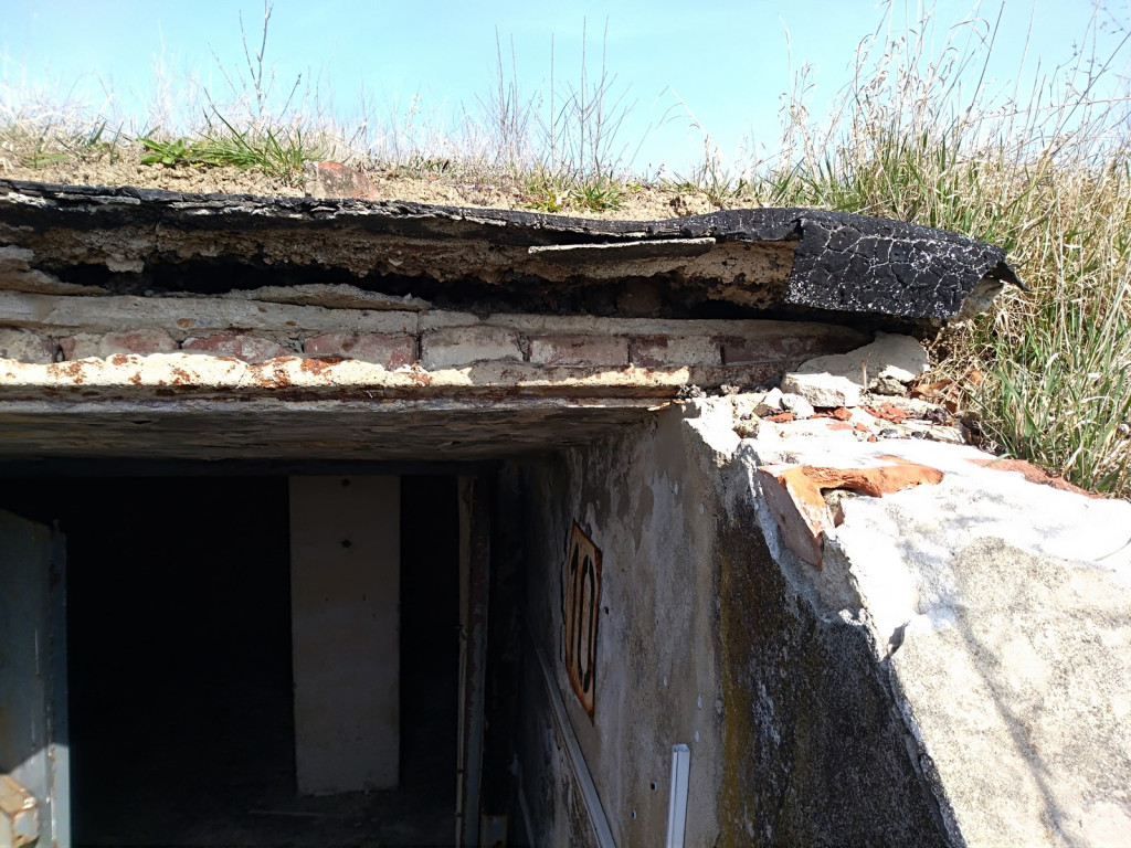 Przedświąteczne jaja... na Zielonce  - felieton Marka Popowskiego