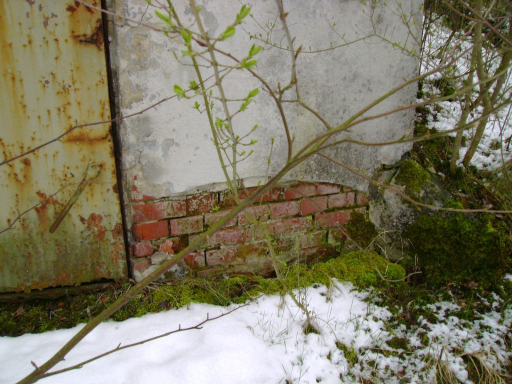 Przedświąteczne jaja... na Zielonce  - felieton Marka Popowskiego