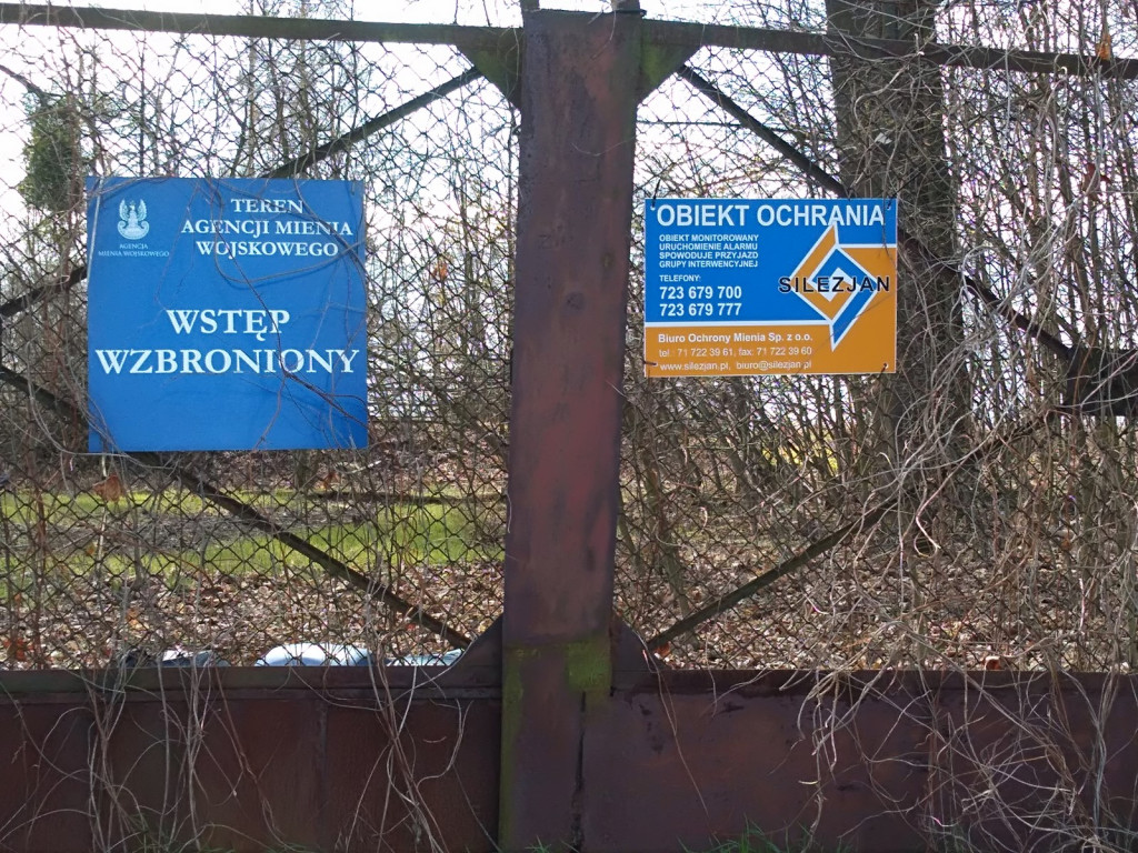 Przedświąteczne jaja... na Zielonce  - felieton Marka Popowskiego