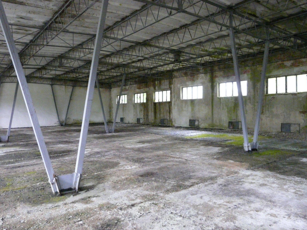 Przedświąteczne jaja... na Zielonce  - felieton Marka Popowskiego