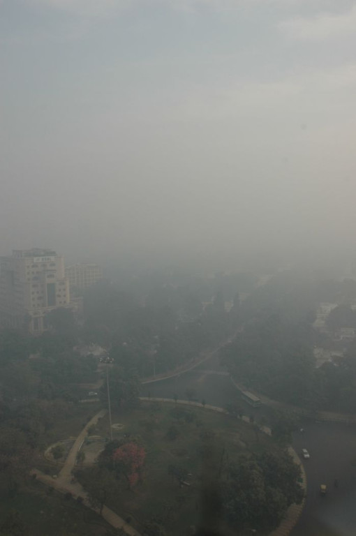 Natura odżywa w czasie kwarantanny, kiedy ludzie zamykają się w domach