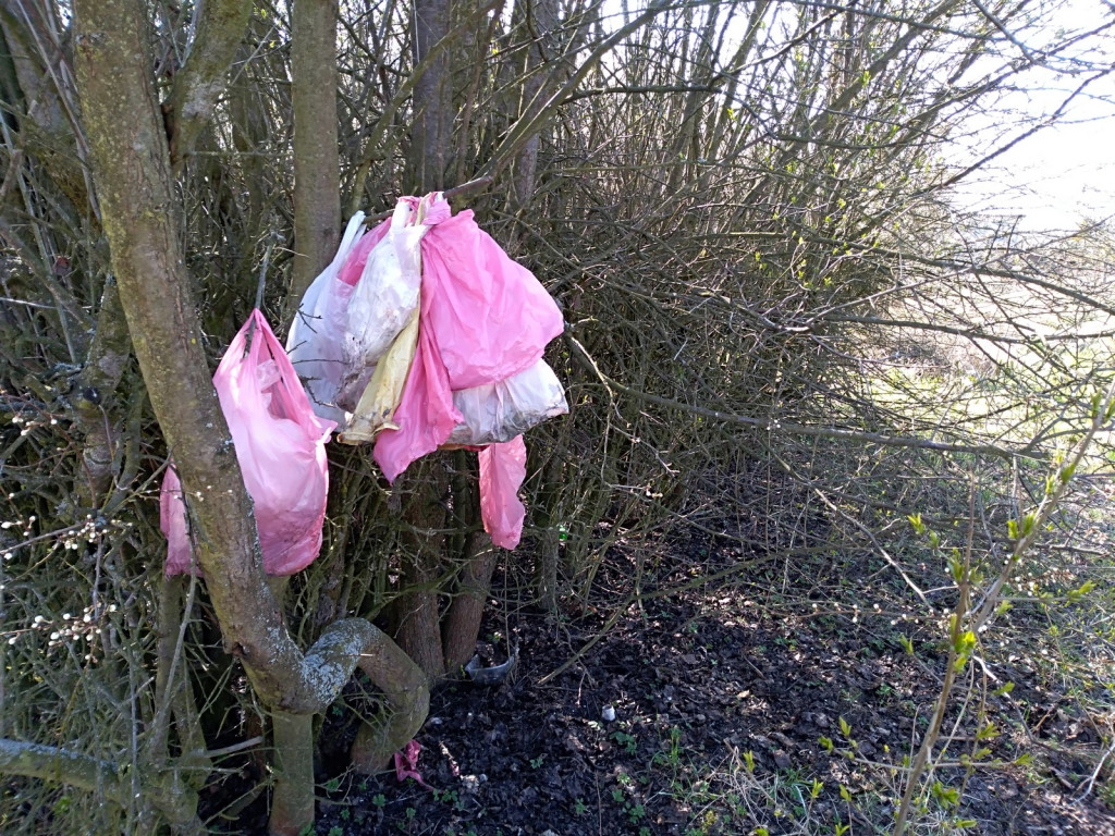 Zrobili chlew i się wynieśli?