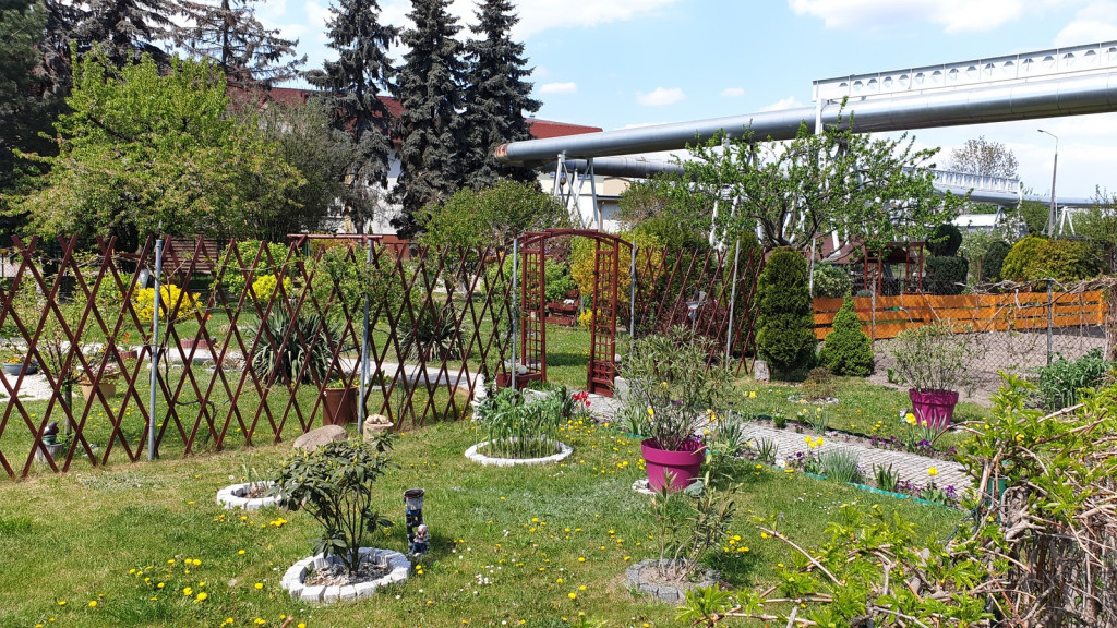 Działkowcy muszą oddać ogródki przy ul. Składowej, bo Gmina Brzeg planuje sprzedać te grunty