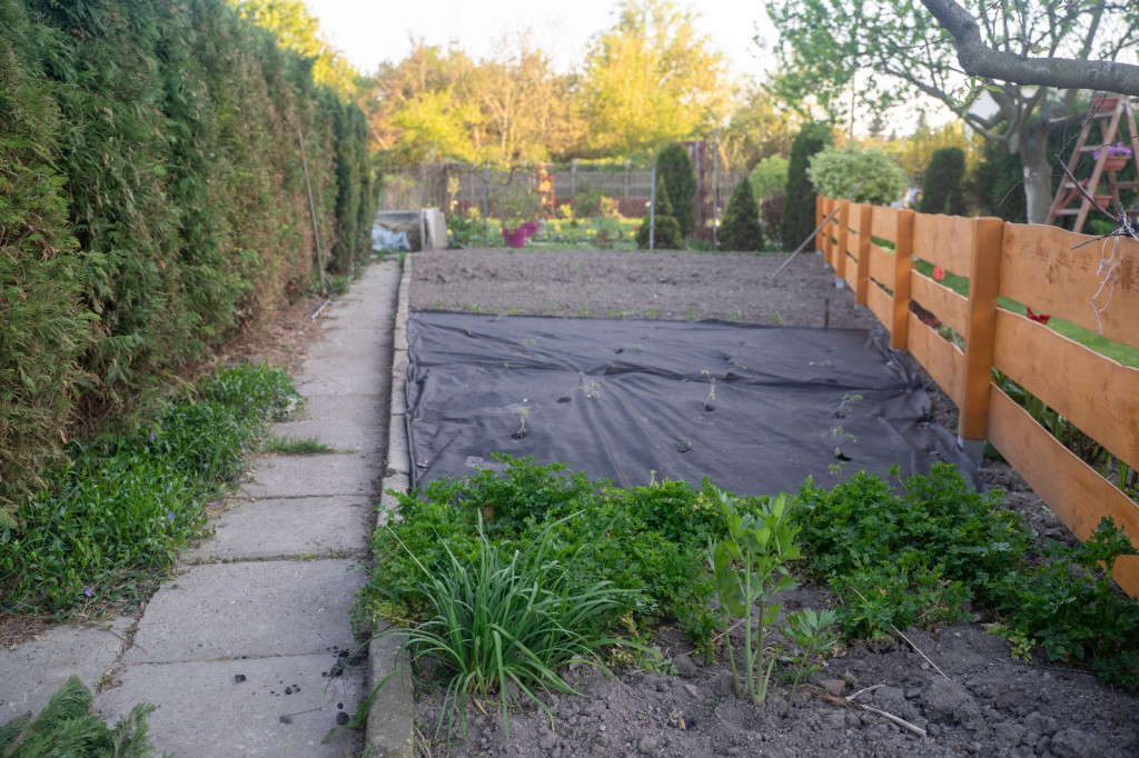 Działkowcy muszą oddać ogródki przy ul. Składowej, bo Gmina Brzeg planuje sprzedać te grunty