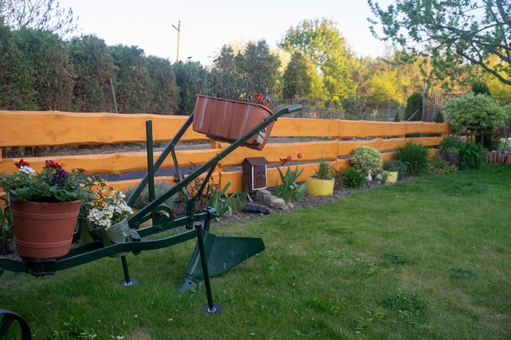 Działkowcy muszą oddać ogródki przy ul. Składowej, bo Gmina Brzeg planuje sprzedać te grunty