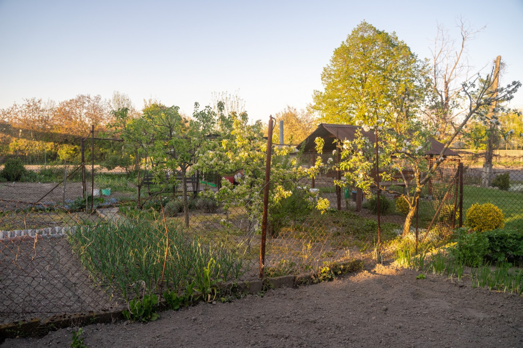 Działkowcy muszą oddać ogródki przy ul. Składowej, bo Gmina Brzeg planuje sprzedać te grunty