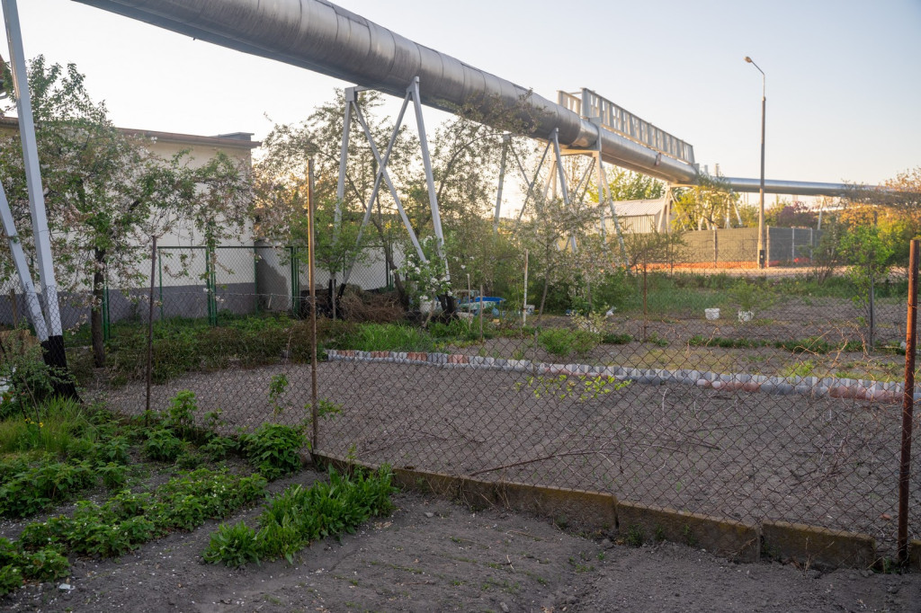 Działkowcy muszą oddać ogródki przy ul. Składowej, bo Gmina Brzeg planuje sprzedać te grunty
