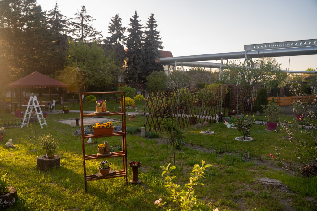 Działkowcy muszą oddać ogródki przy ul. Składowej, bo Gmina Brzeg planuje sprzedać te grunty
