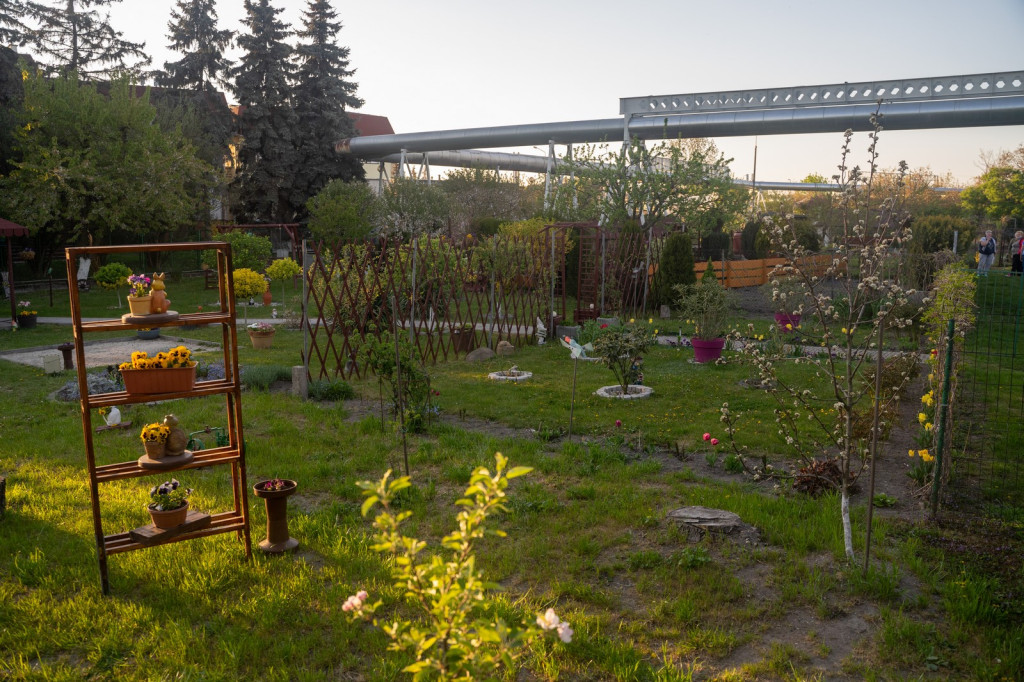 Działkowcy muszą oddać ogródki przy ul. Składowej, bo Gmina Brzeg planuje sprzedać te grunty