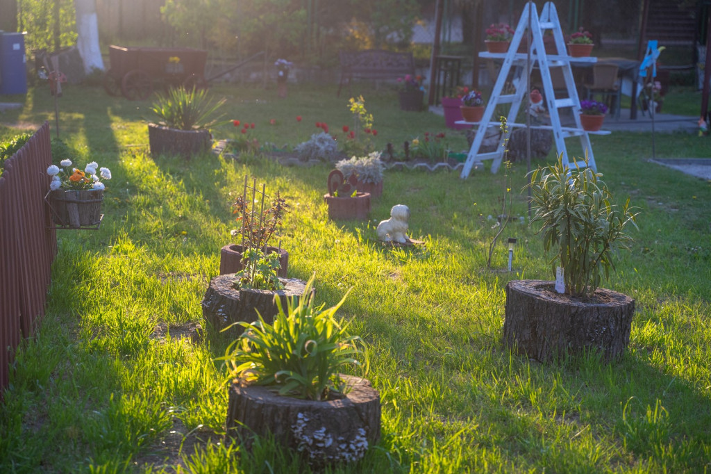 Działkowcy muszą oddać ogródki przy ul. Składowej, bo Gmina Brzeg planuje sprzedać te grunty