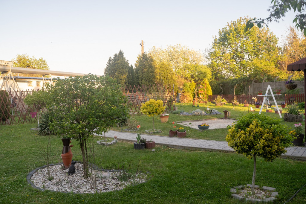 Działkowcy muszą oddać ogródki przy ul. Składowej, bo Gmina Brzeg planuje sprzedać te grunty