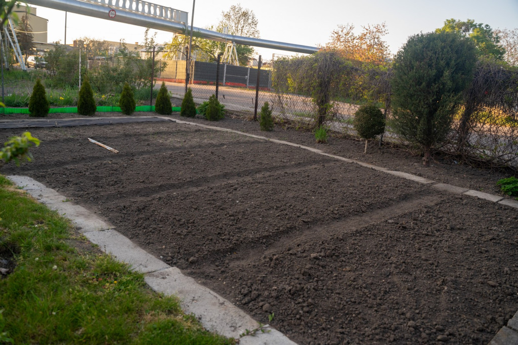 Działkowcy muszą oddać ogródki przy ul. Składowej, bo Gmina Brzeg planuje sprzedać te grunty