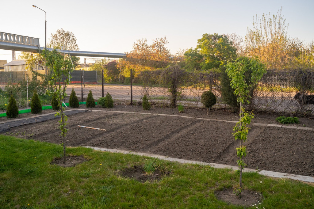 Działkowcy muszą oddać ogródki przy ul. Składowej, bo Gmina Brzeg planuje sprzedać te grunty