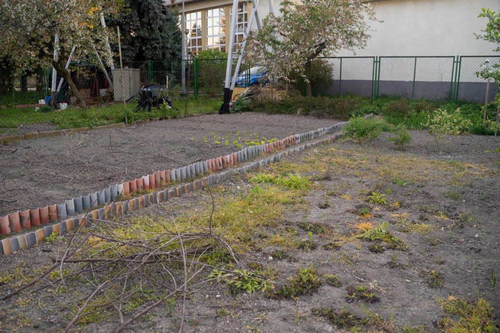 Działkowcy muszą oddać ogródki przy ul. Składowej, bo Gmina Brzeg planuje sprzedać te grunty