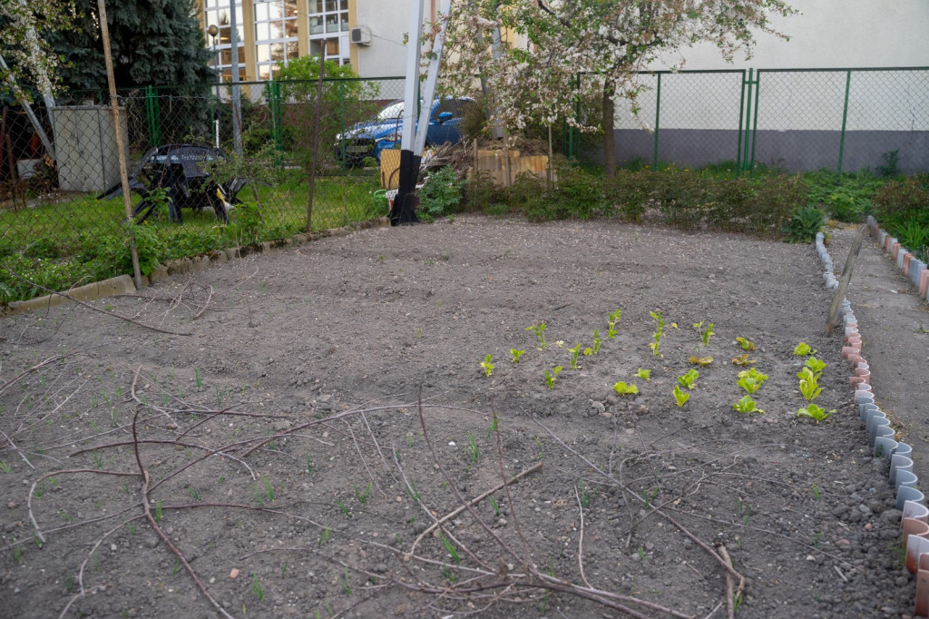 Działkowcy muszą oddać ogródki przy ul. Składowej, bo Gmina Brzeg planuje sprzedać te grunty