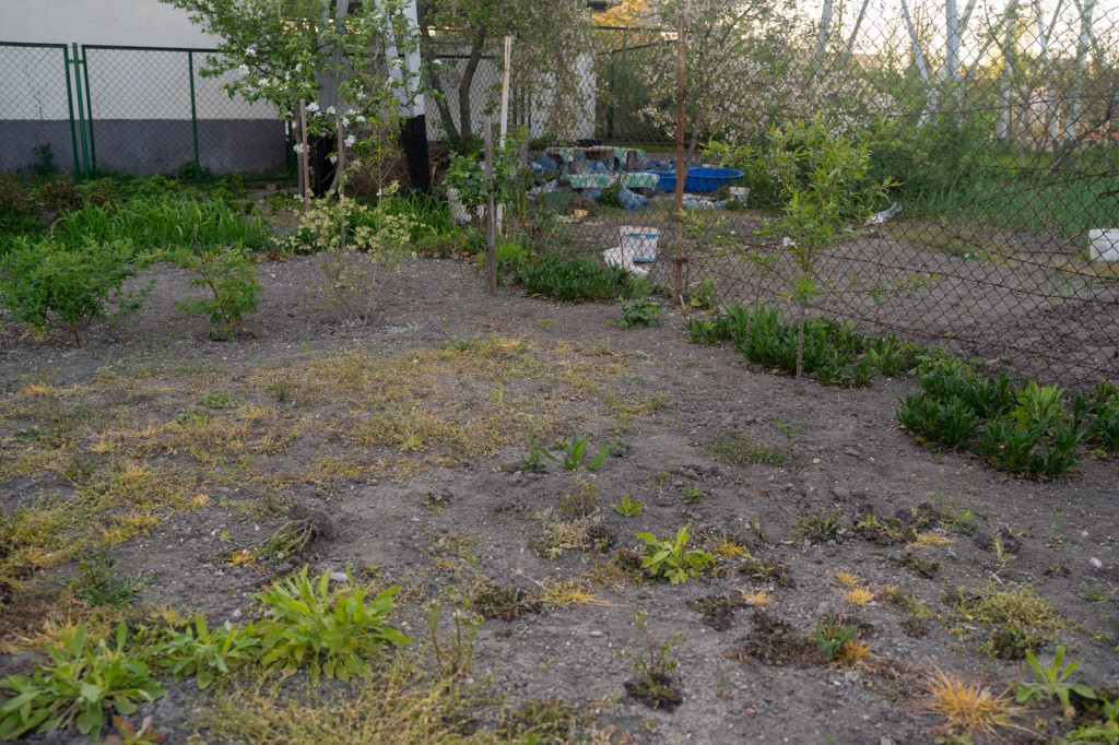 Działkowcy muszą oddać ogródki przy ul. Składowej, bo Gmina Brzeg planuje sprzedać te grunty