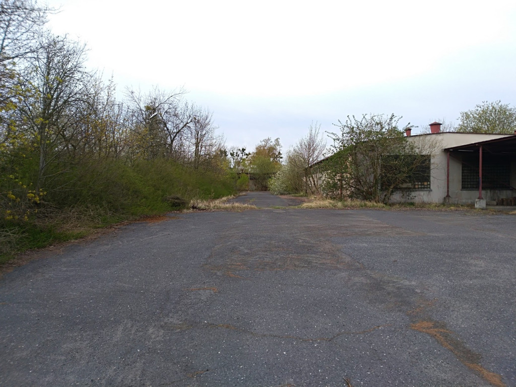 Budowa płotu, czyli kabaret na brzeskiej Zielonce - felieton Marka Popowskiego