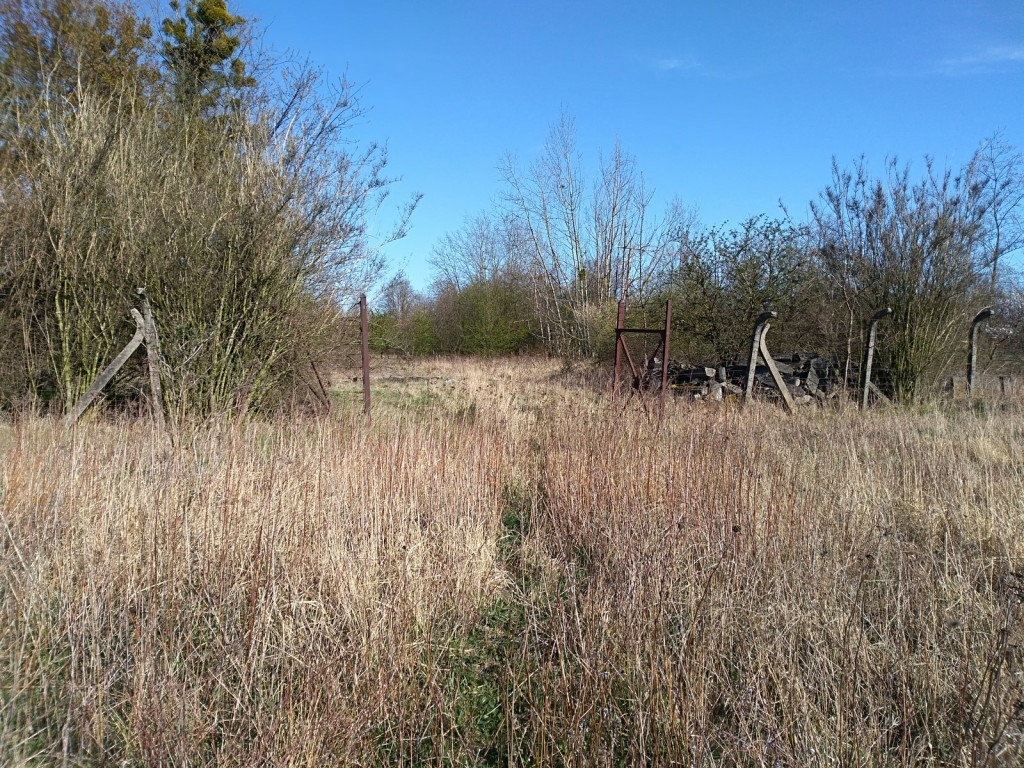 Budowa płotu, czyli kabaret na brzeskiej Zielonce - felieton Marka Popowskiego