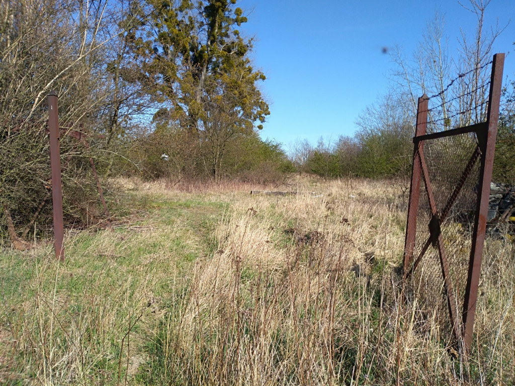 Budowa płotu, czyli kabaret na brzeskiej Zielonce - felieton Marka Popowskiego