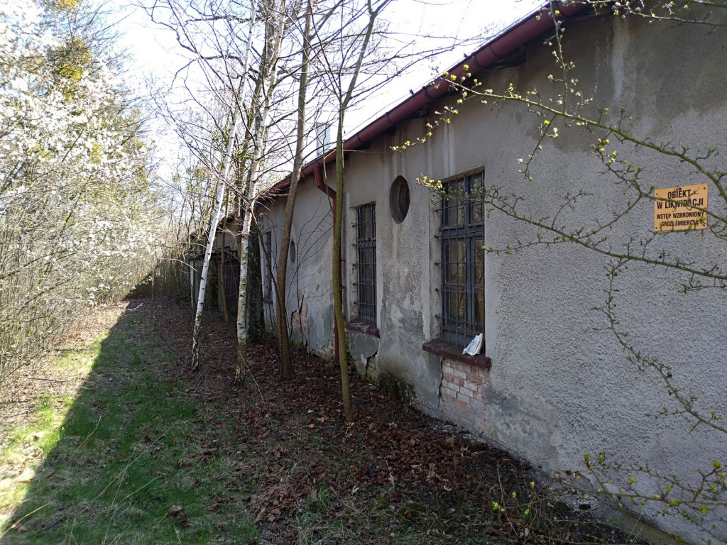 Budowa płotu, czyli kabaret na brzeskiej Zielonce - felieton Marka Popowskiego