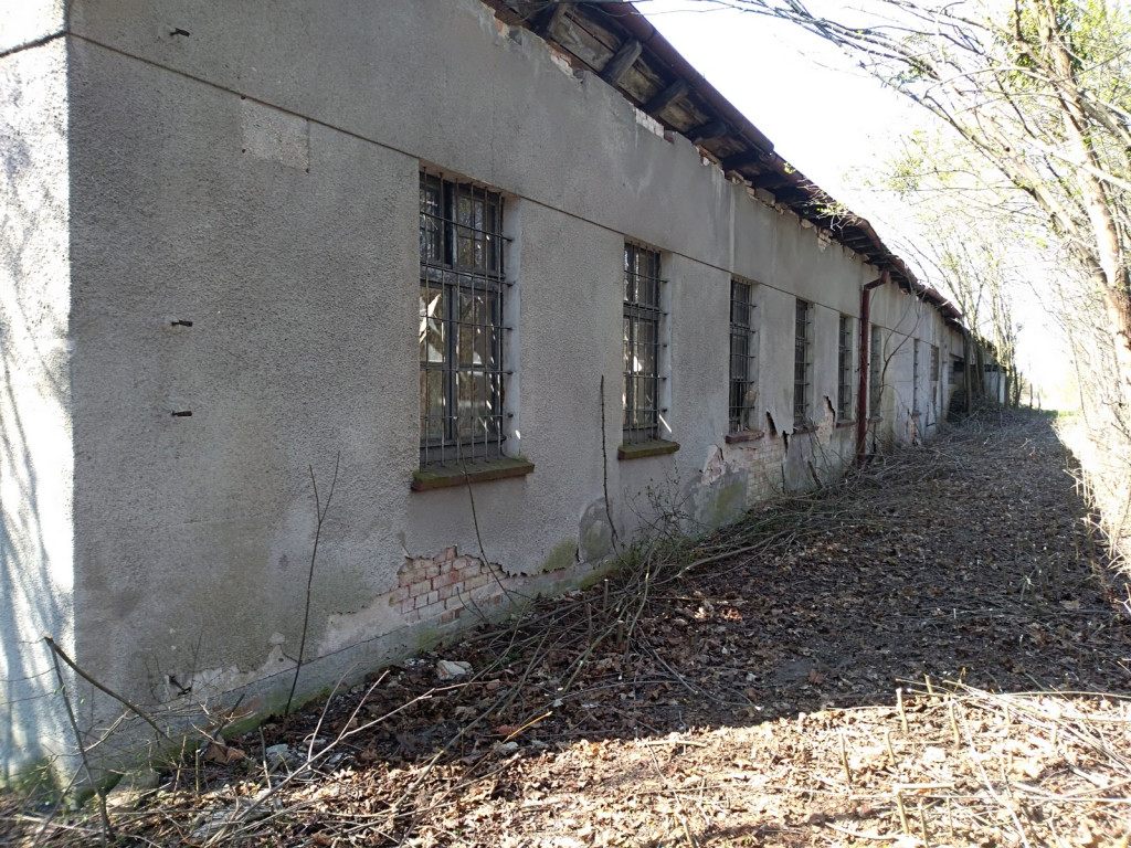 Budowa płotu, czyli kabaret na brzeskiej Zielonce - felieton Marka Popowskiego