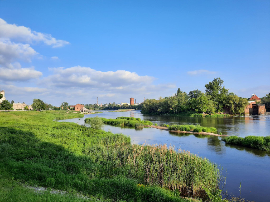 Muszelki, dwie osoby i kamieni kupa. Burmistrz Wrębiak zachęcał do wypoczynku na plaży nad Odrą, a więc poszliśmy zobaczyć jak jest